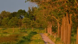 2022 13 en 22 juli 175